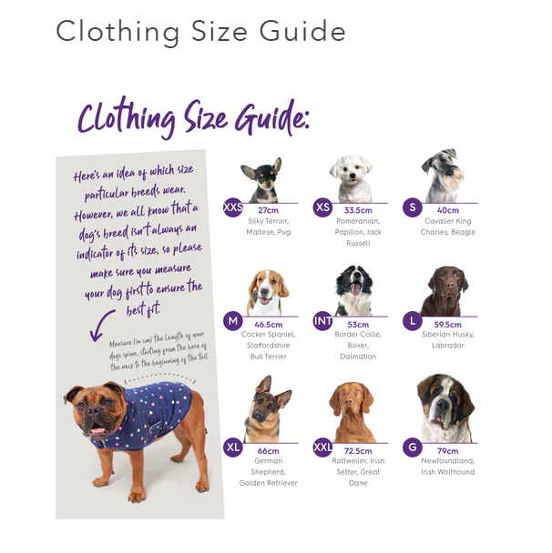 Kazoo Chestie Dog Jumper - Blue