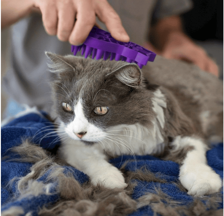 Kong ZoomGroom Cat