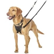Halti No Pull Harness Black
