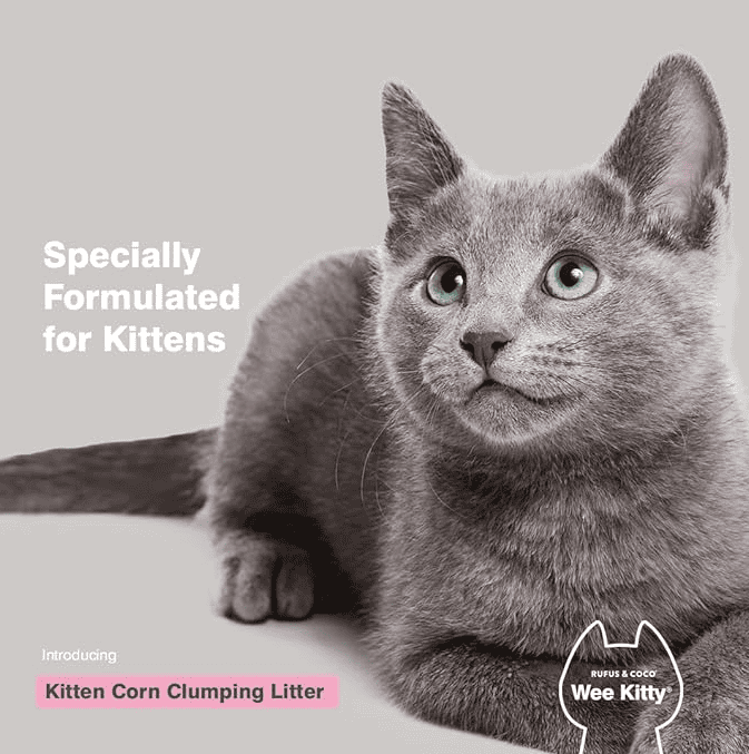 Wee Kitty Kitten Corn Clumping Litter