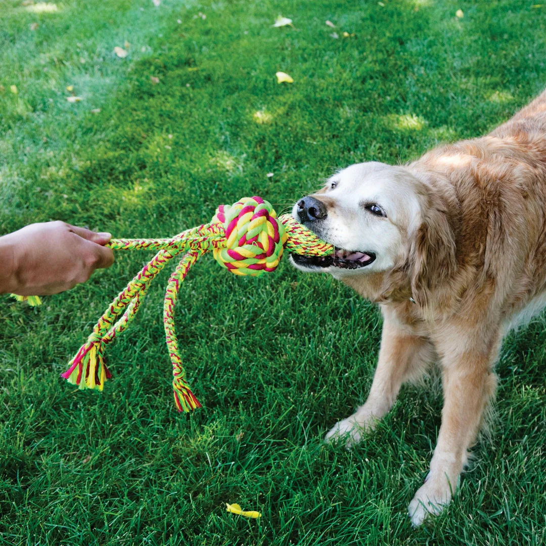 Kong Wubba Weaves with Rope Dog Toys - Assorted Colour