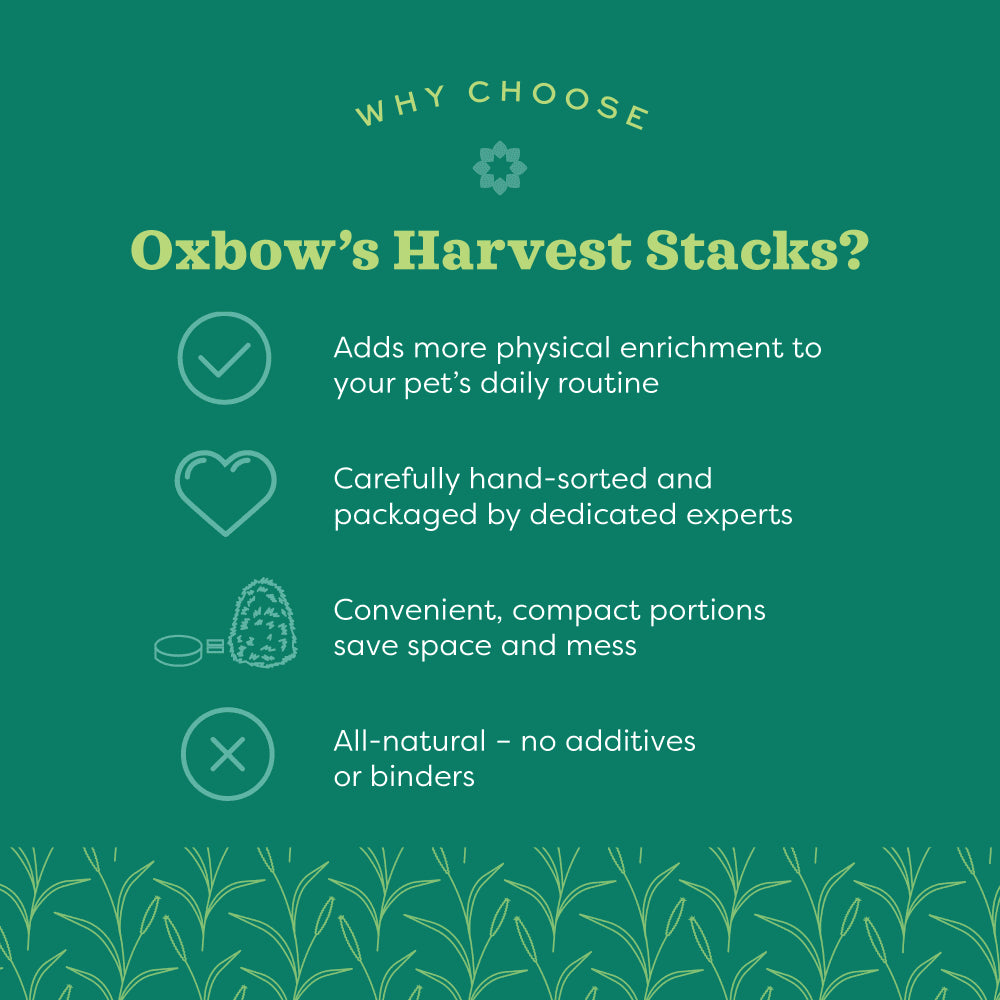 Oxbow Harvest Stacks Western Timothy 922g