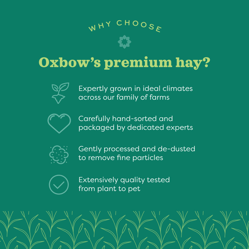 Oxbow Hay Blends