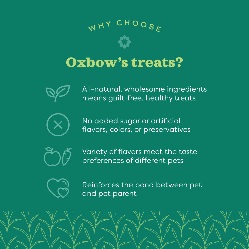 Oxbow Organic Barley Biscuits 75g