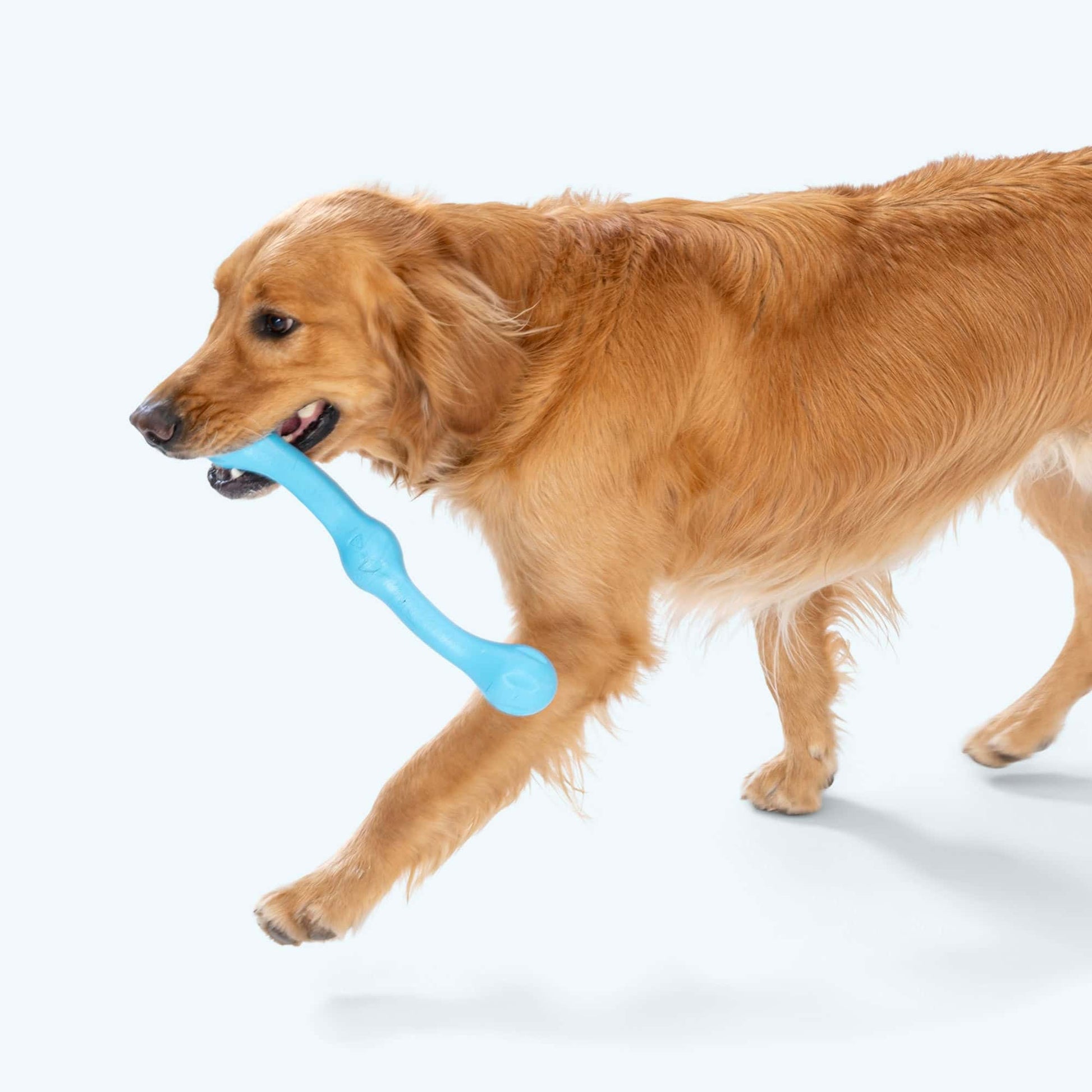 West Paw Zwig Tug Toy