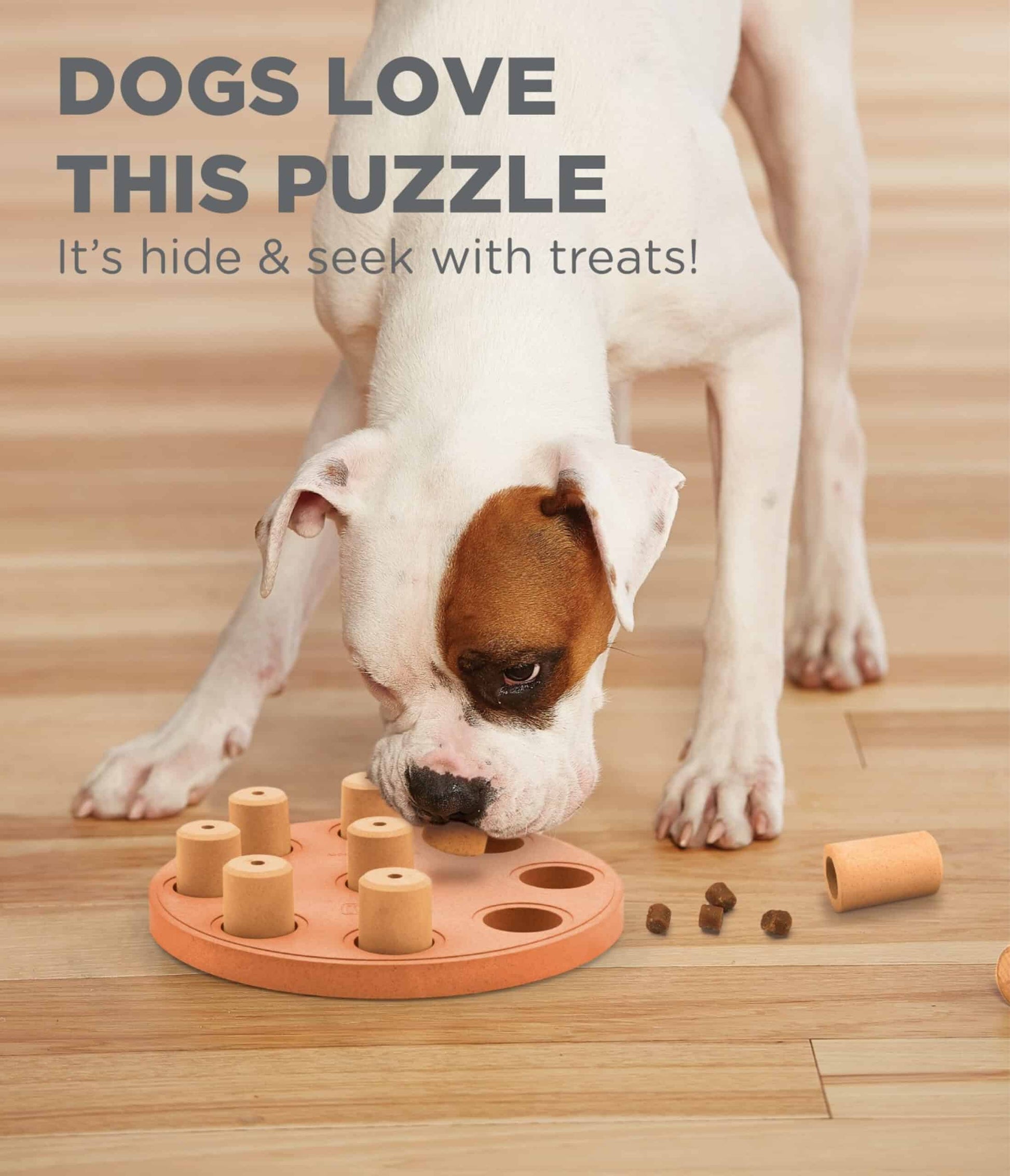 Nina Ottosson Dog Smart Composite Interactive Treat Puzzle Dog Toy
