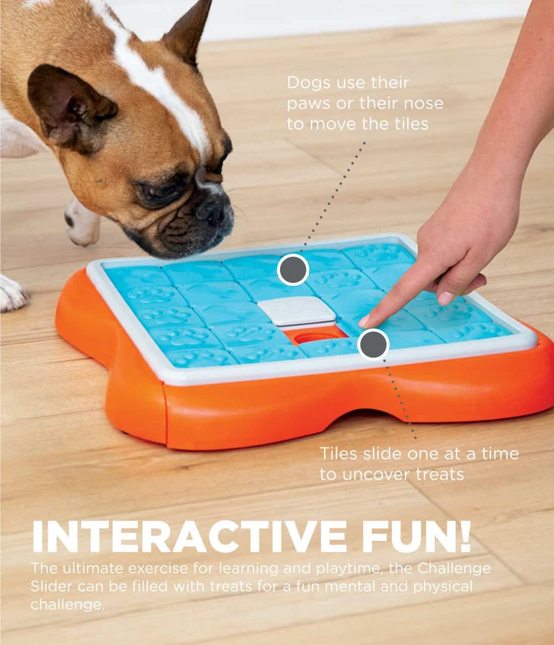 Nina Ottosson Dog Challenge Slider Interactive Treat Puzzle Dog Toy