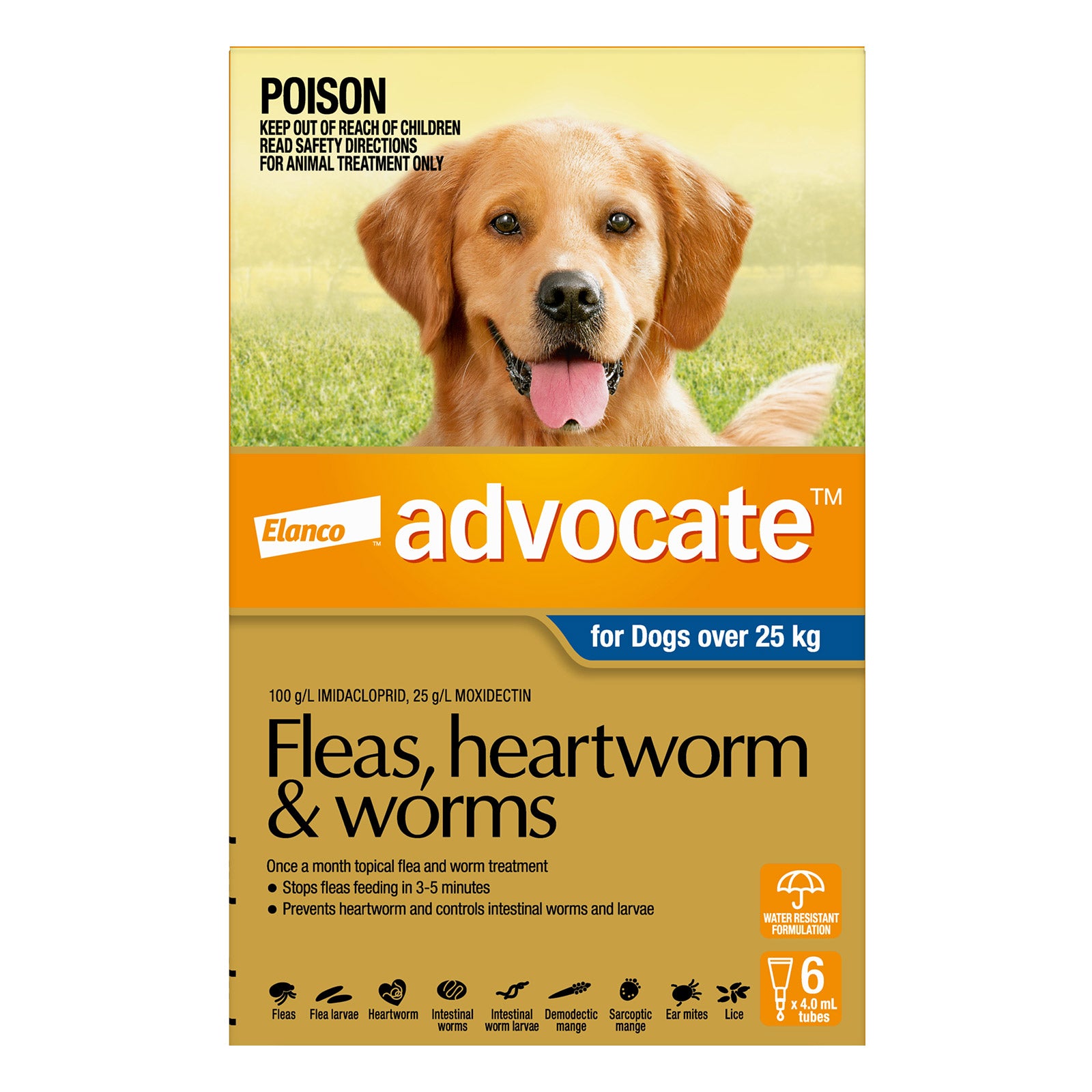Advocate For Extra Large Dogs Fleas, Heartworm & Worm (Blue)