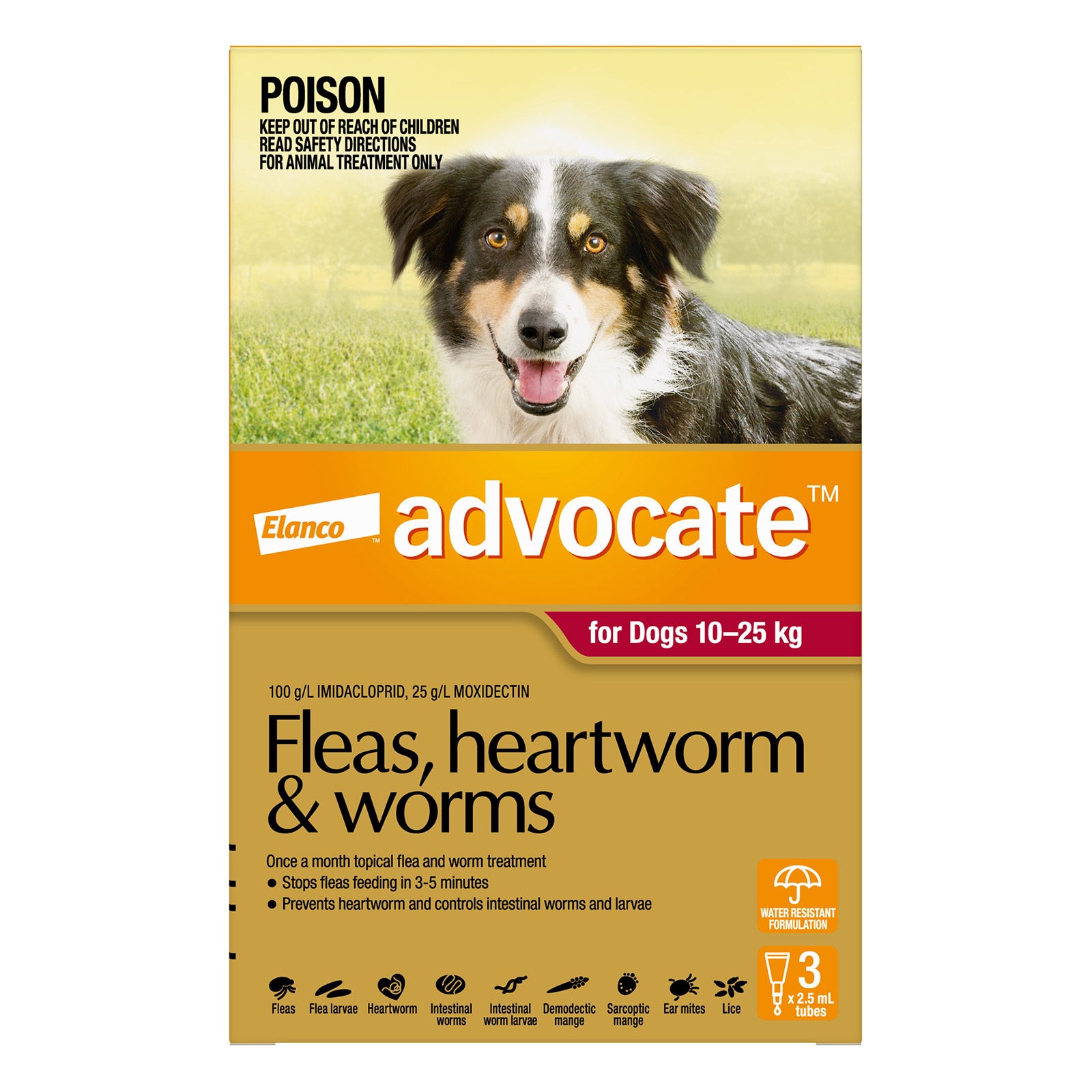 Advocate For Large Dogs Fleas, Heartworm & Worm (Red)