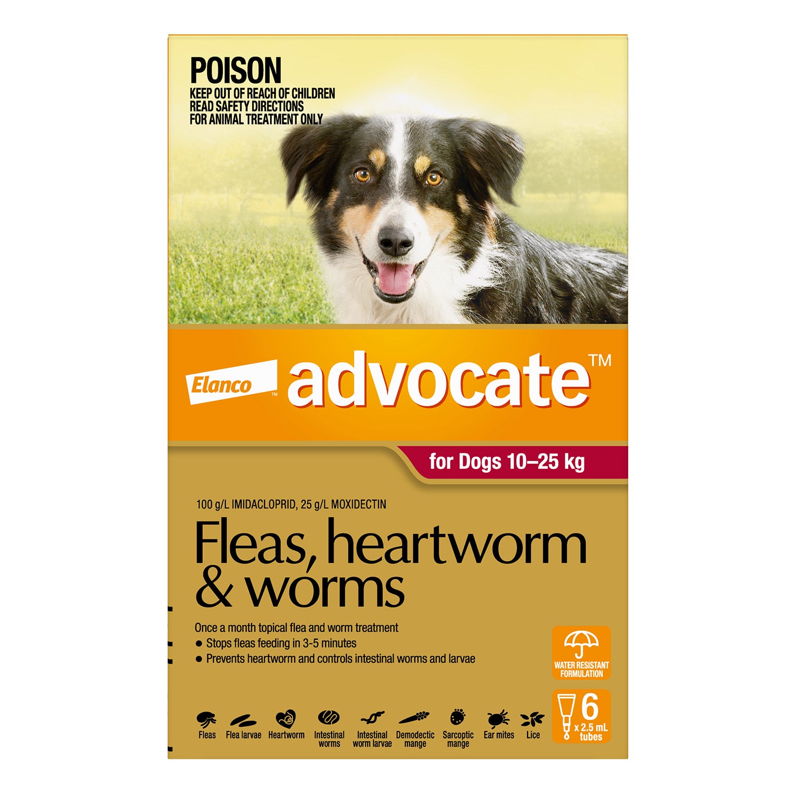 Advocate For Large Dogs Fleas, Heartworm & Worm (Red)