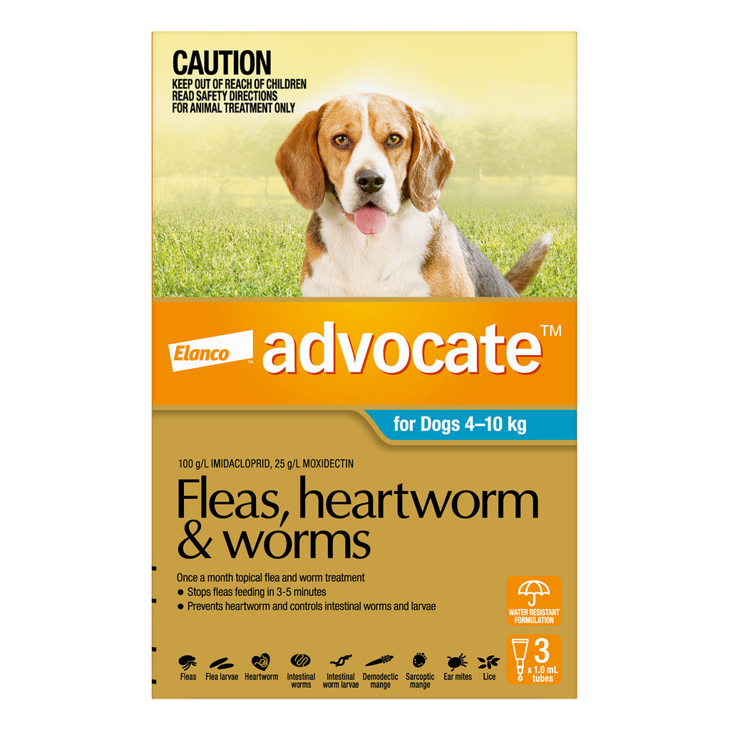 Advocate For Medium Dogs Fleas, Heartworm & Worm (Teal)