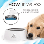 All Fur You Anti Splash Water Bowl