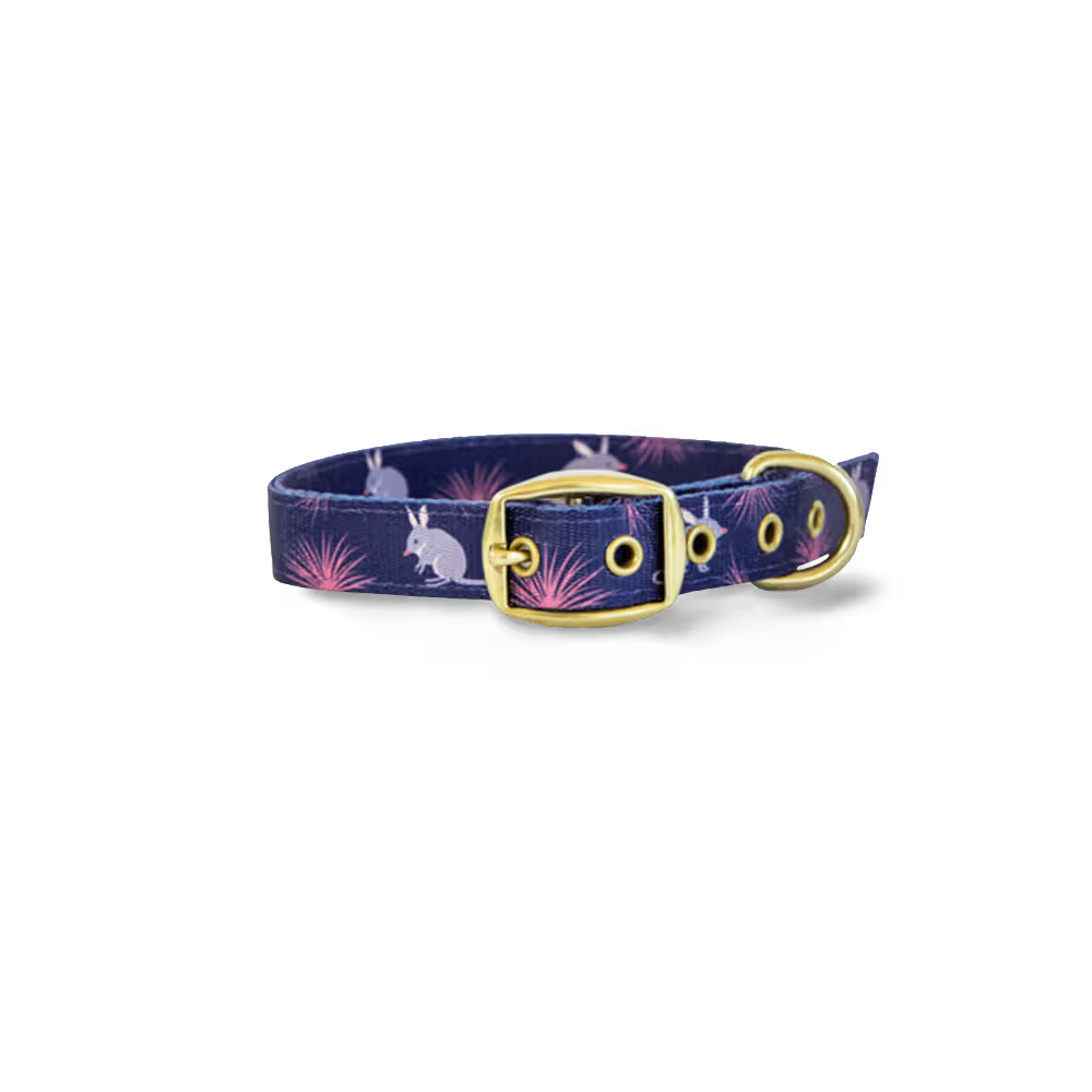 Anipal Billie The Bilby Dog Collar