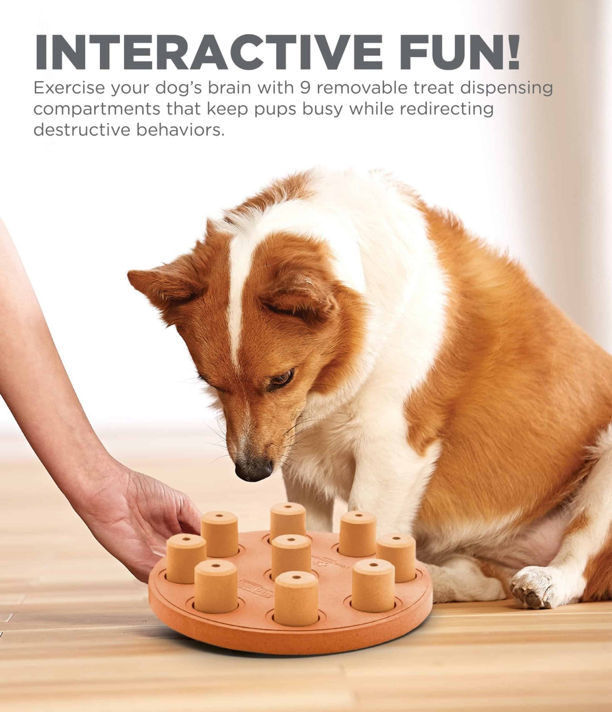 Nina Ottosson Dog Smart Composite Interactive Treat Puzzle Dog Toy