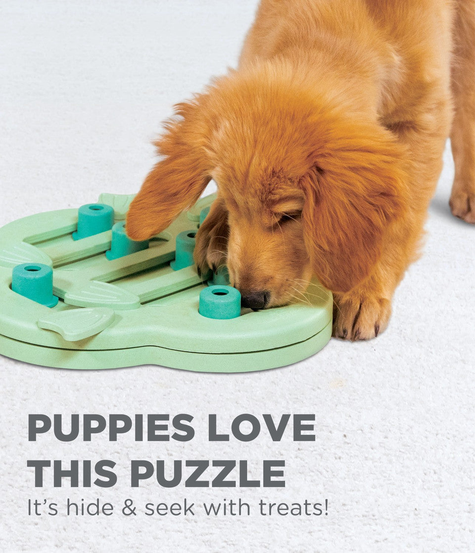 Nina Ottosson Puppy Hide N' Slide Interactive Treat Puzzle Dog Toy - Green