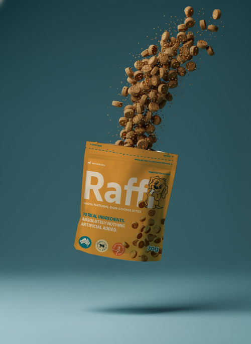 Raffi Natural Dog Mini Cookie Bites 70gr