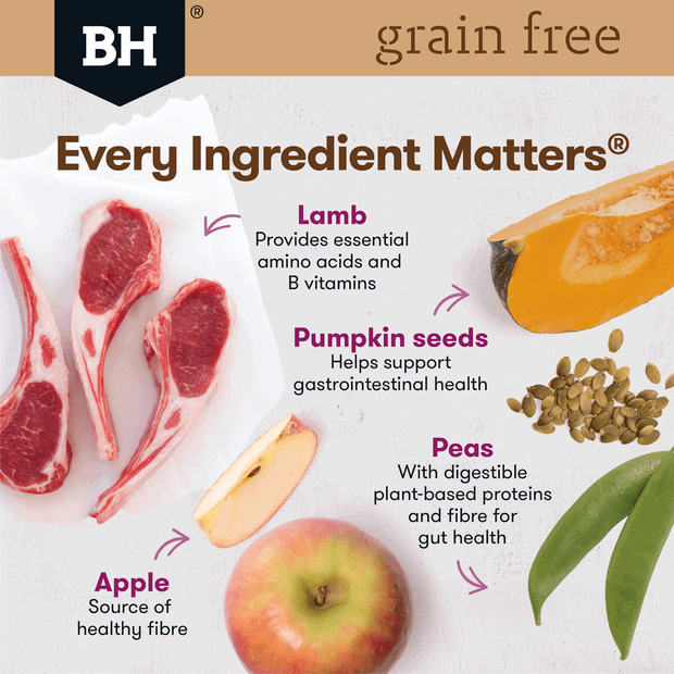 Black Hawk Grain Free Lamb