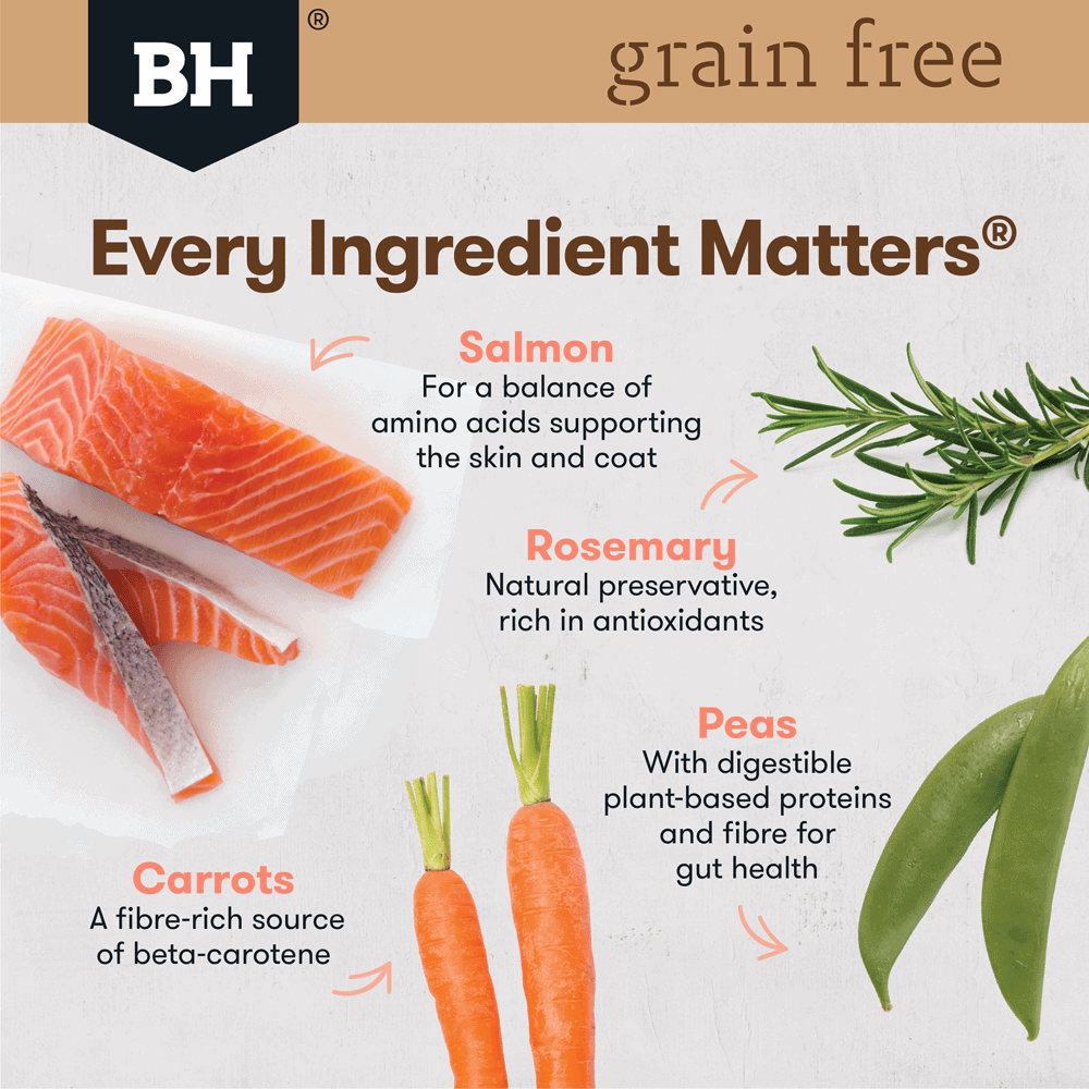 Black Hawk Dog Grain Free Salmon