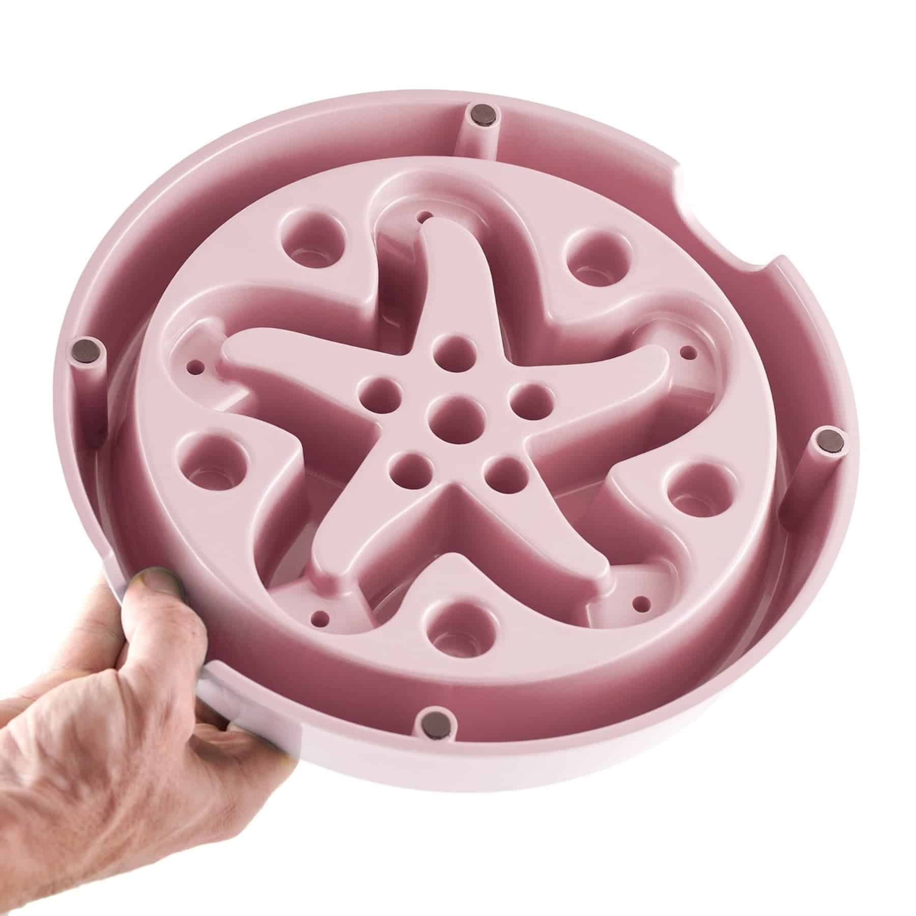 All Fur You Dog Bamboo Feeder Bowl