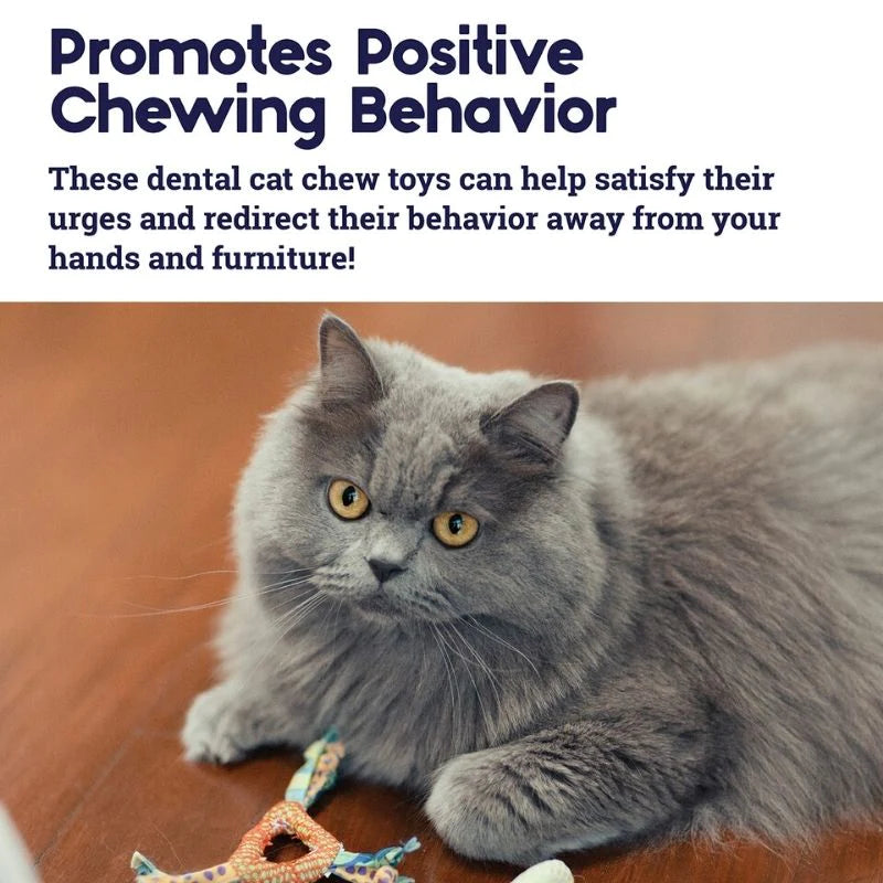 Petstages Catnip Dental Health Cat Chew Toy