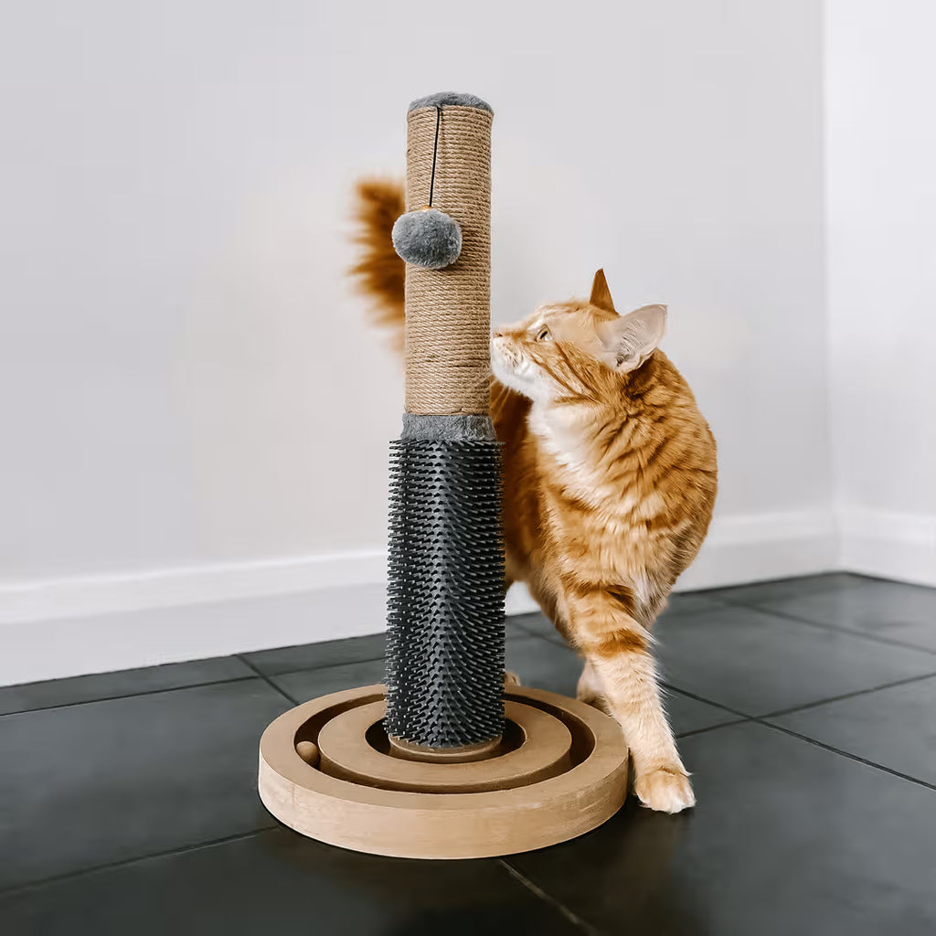 Cattitude Cat Scratch Post Soother