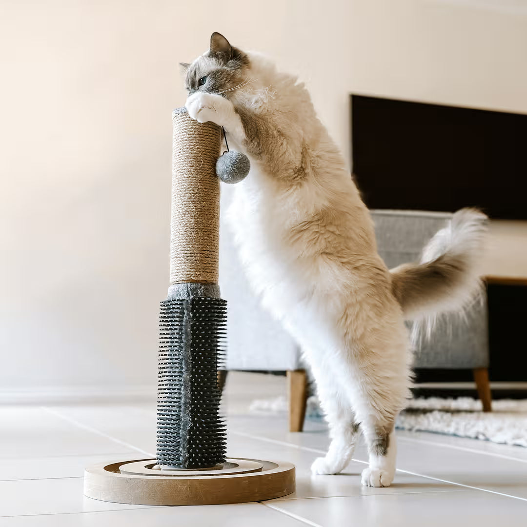 Cattitude Cat Scratch Post Soother