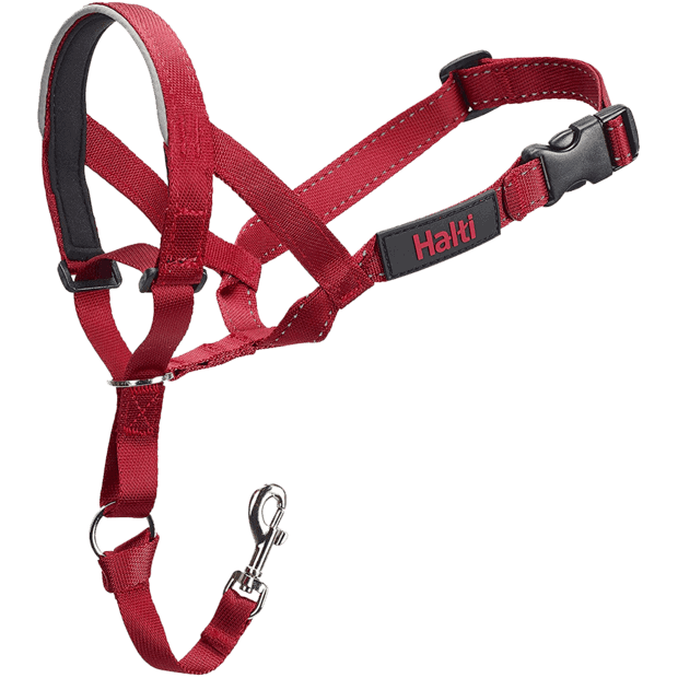 Halti Headcollar Red