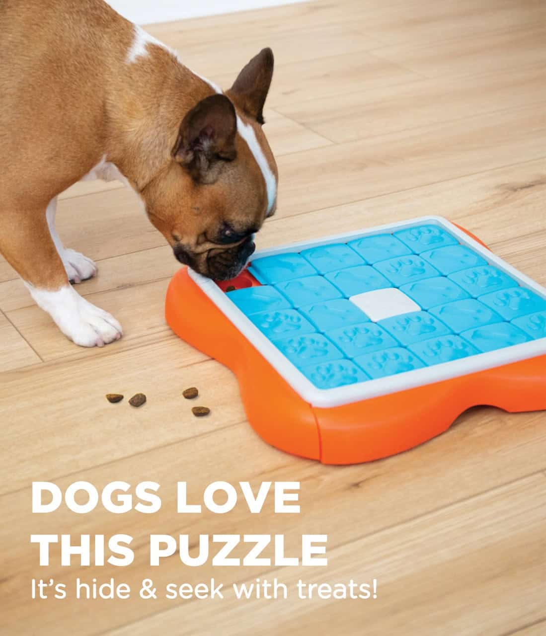 Nina Ottosson Dog Challenge Slider Interactive Treat Puzzle Dog Toy