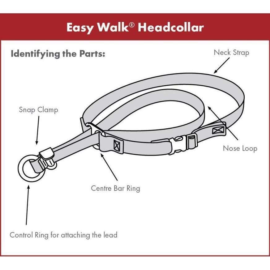 PetSafe Easy Walk Headcollar Small