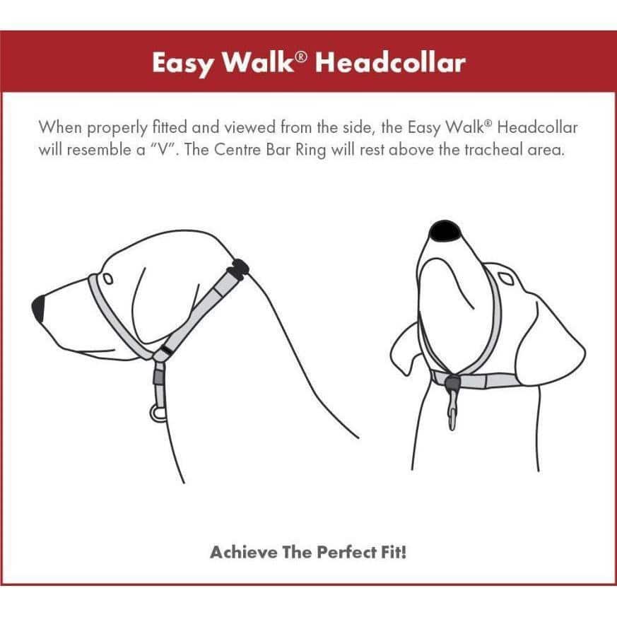 PetSafe Easy Walk Headcollar Small