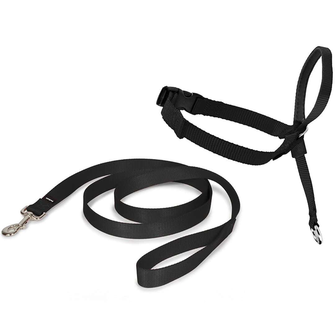 PetSafe Easy Walk Headcollar Small
