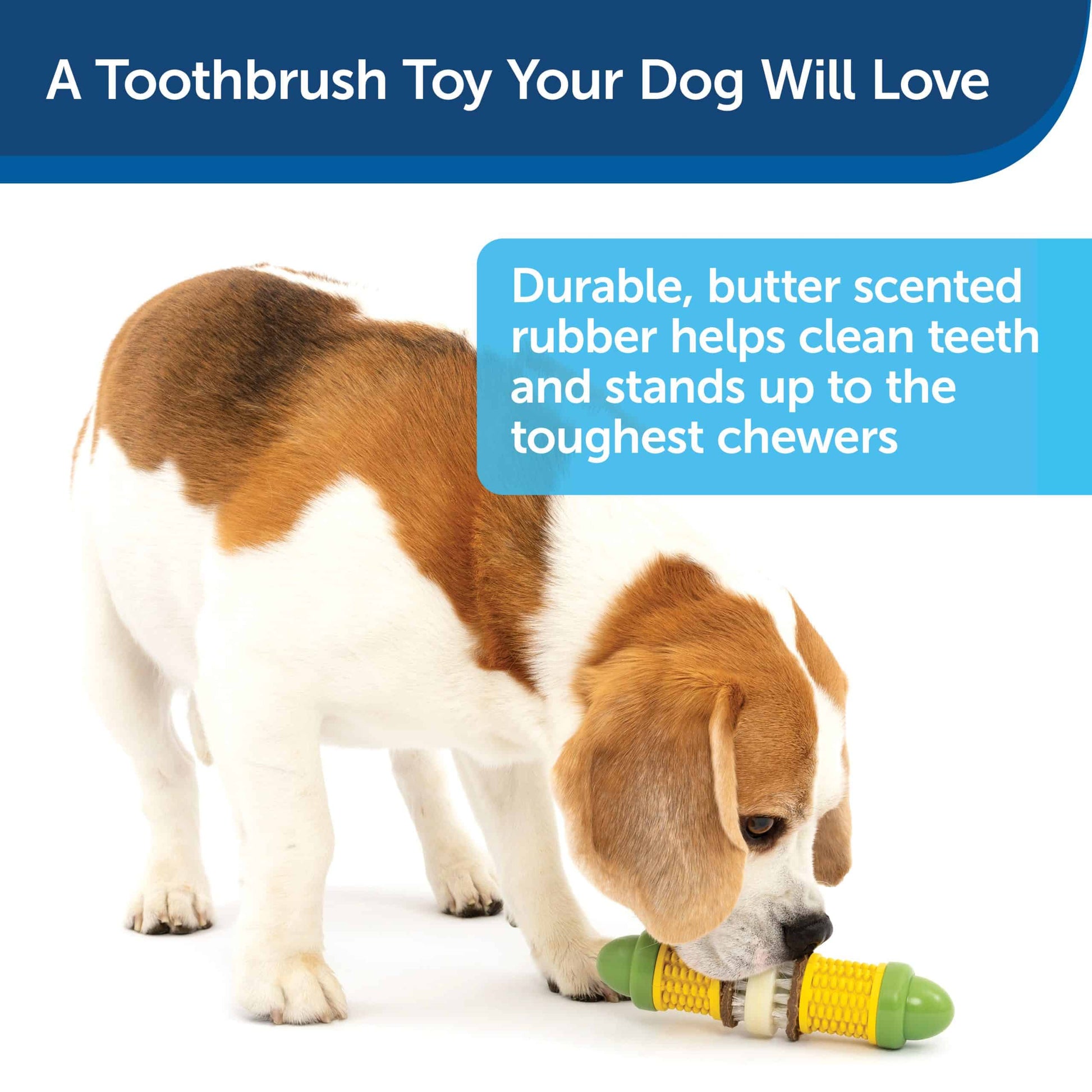 Petsafe Busy Buddy Craving Corncob Treat Ring Dog Toy