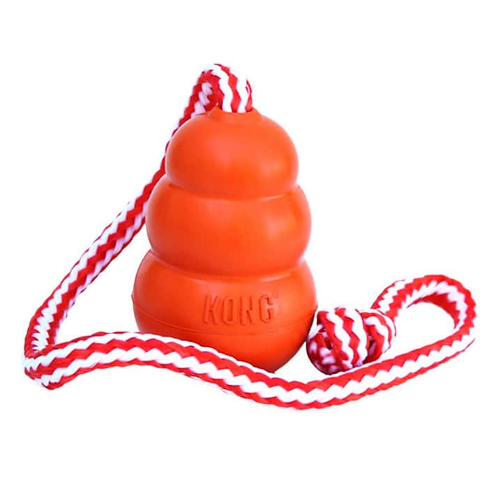 Kong Dog Aqua Dog Toy