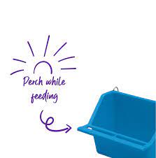 Kazoo Rectangular Bird Feeder - 2Pack