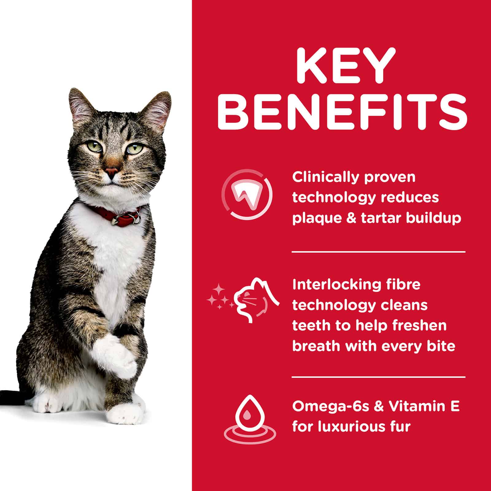 Hills Science Diet Cat Oral Care