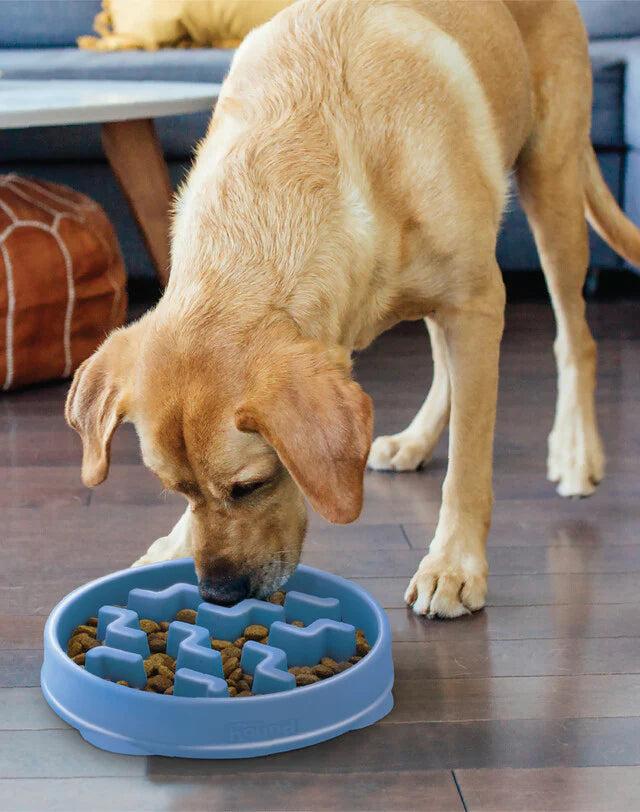 Outward Hound Fun Feeder Dog Bowl Notch Blue