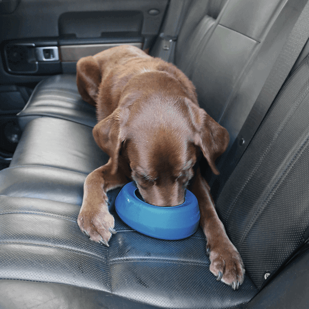 Kurgo Wander Splash Free Bowl - Blue