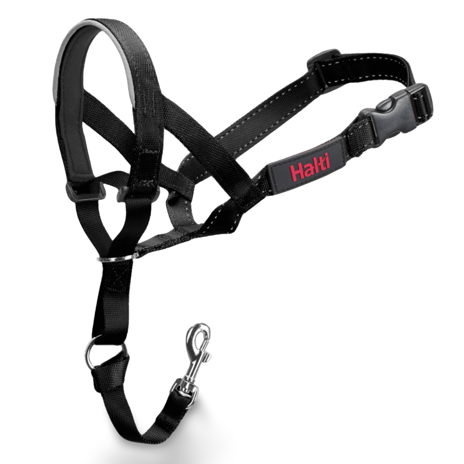 Halti Headcollar Black
