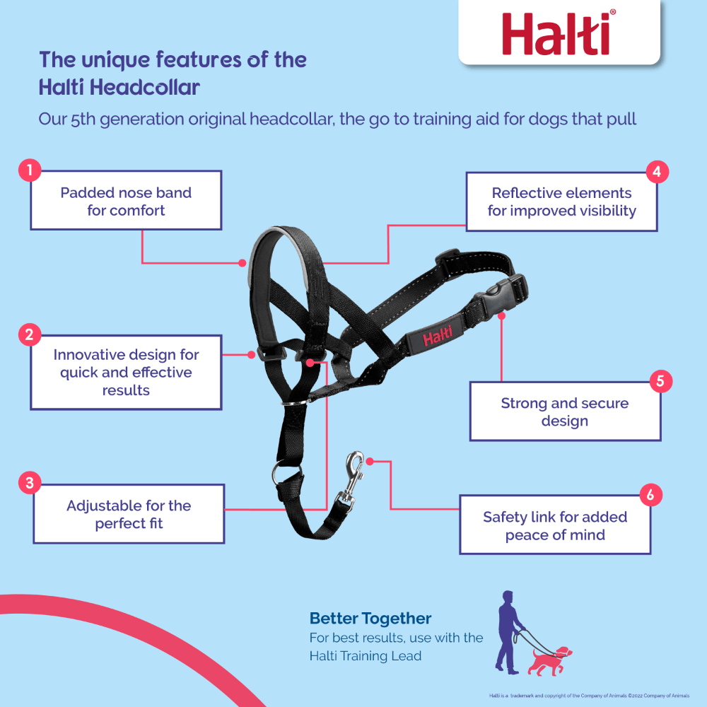 Halti Headcollar Black
