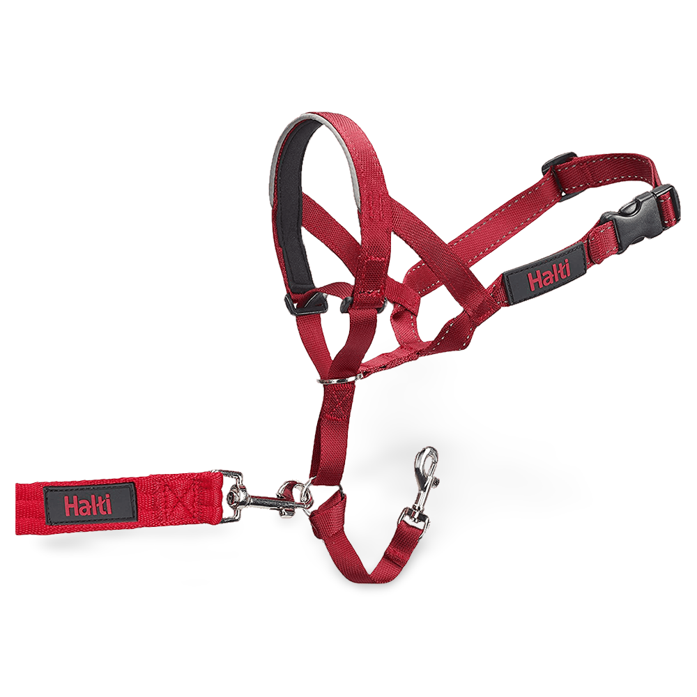 Halti Headcollar Red