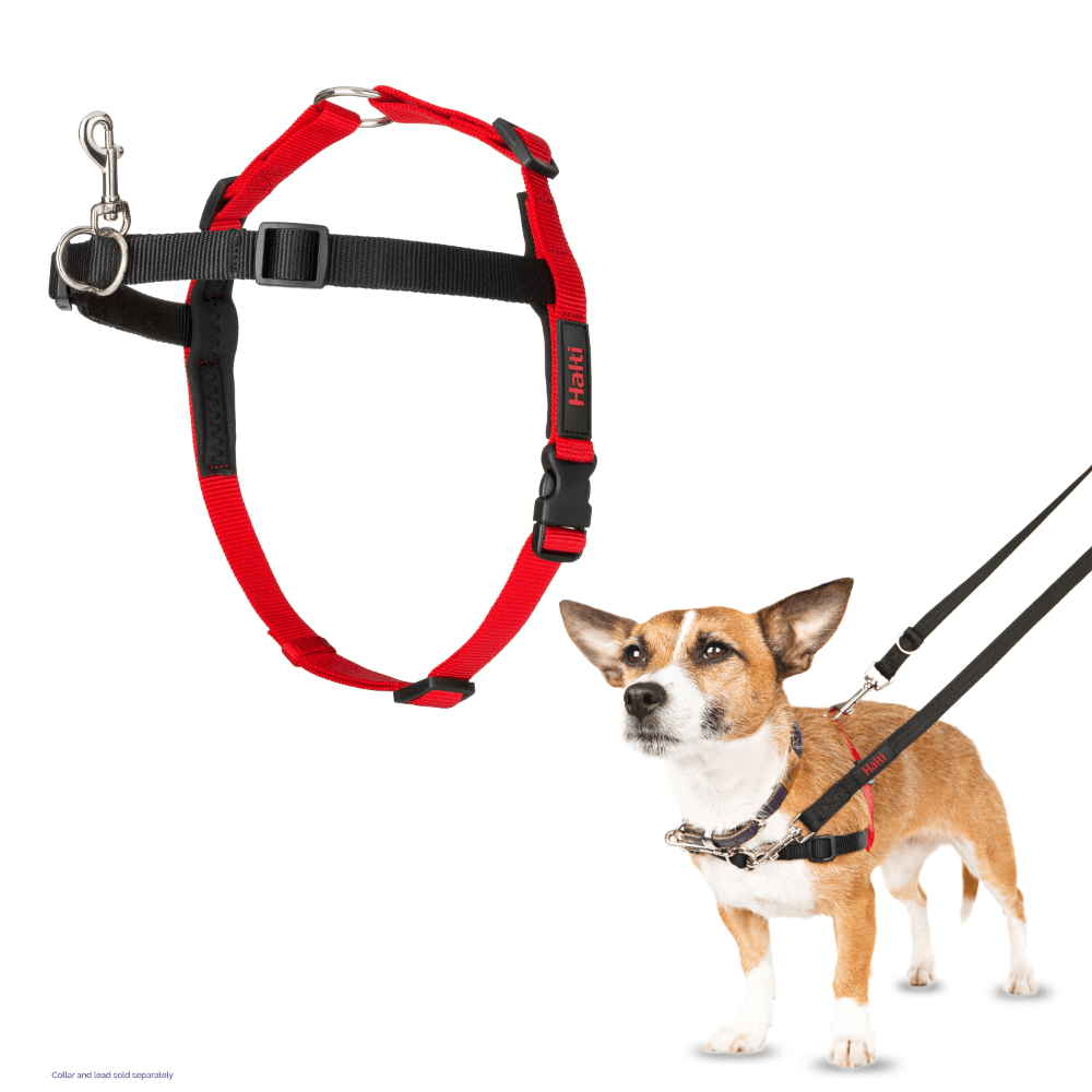 Halti Front Control Harness Black/Red