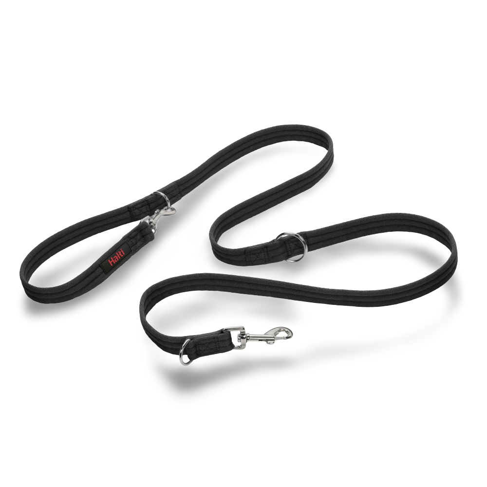 Halti Training Lead