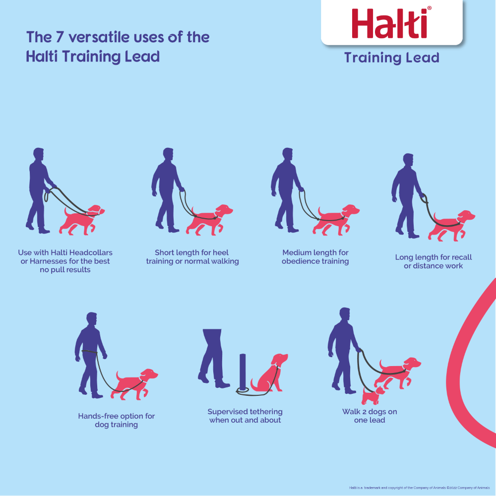 Halti Training Lead