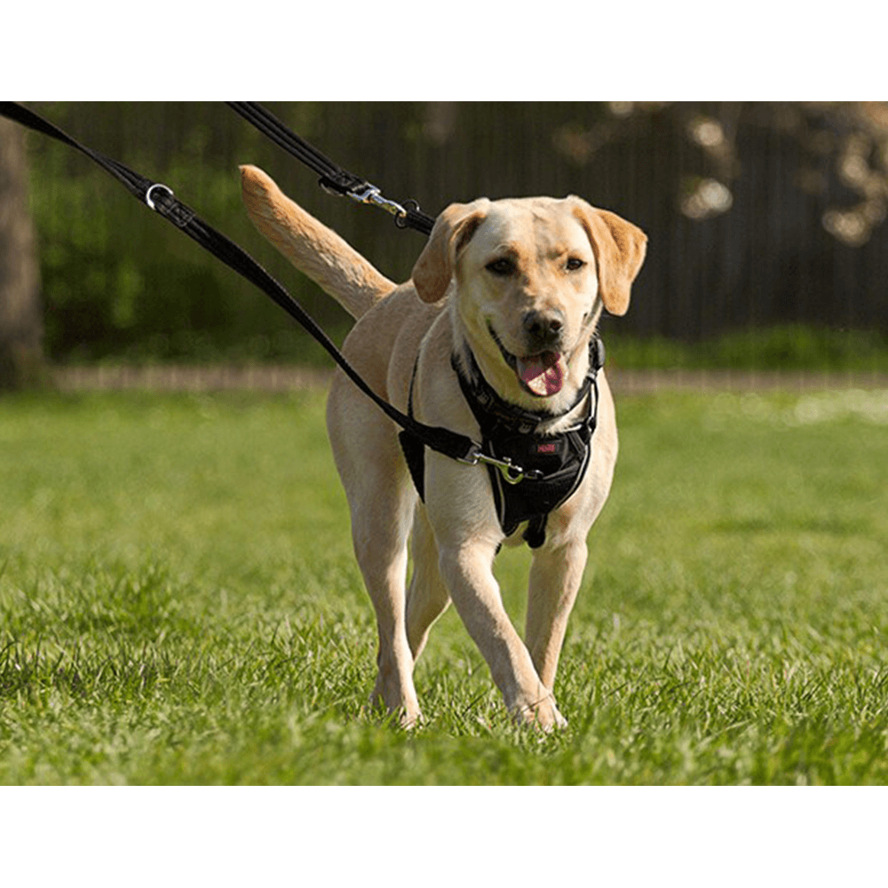 Halti No Pull Dog Harness Black