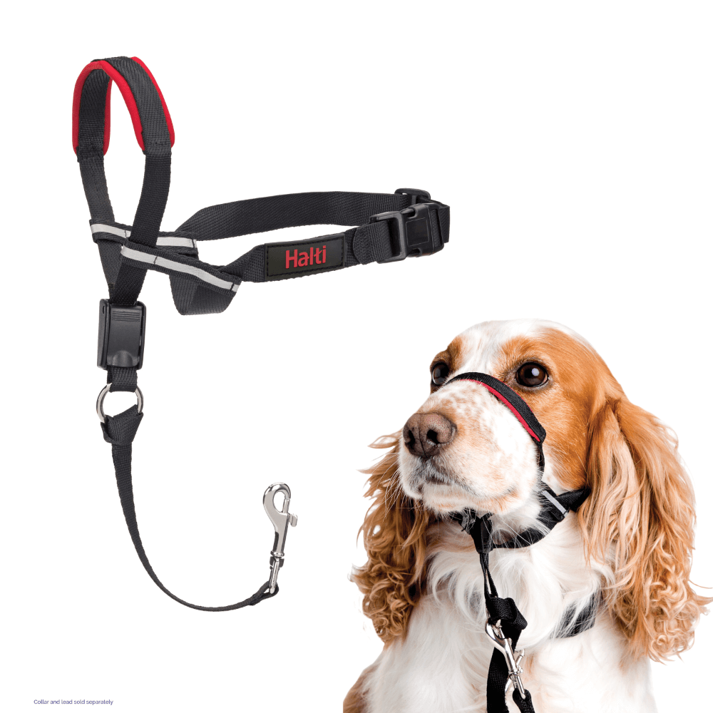 Halti Optifit Dog HeadCollar Black / Red