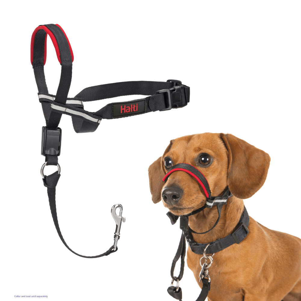 Halti Optifit Dog HeadCollar Black / Red