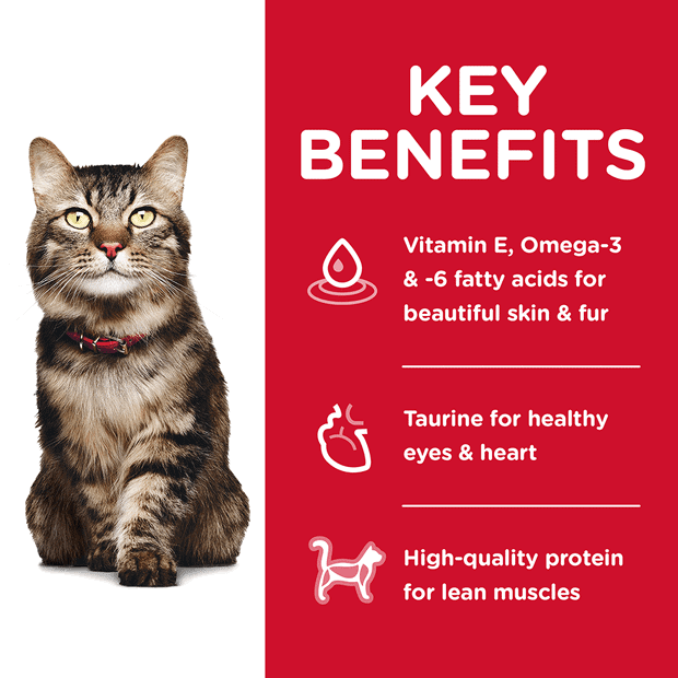 Hills Cat Mature Hairball Control 2KG