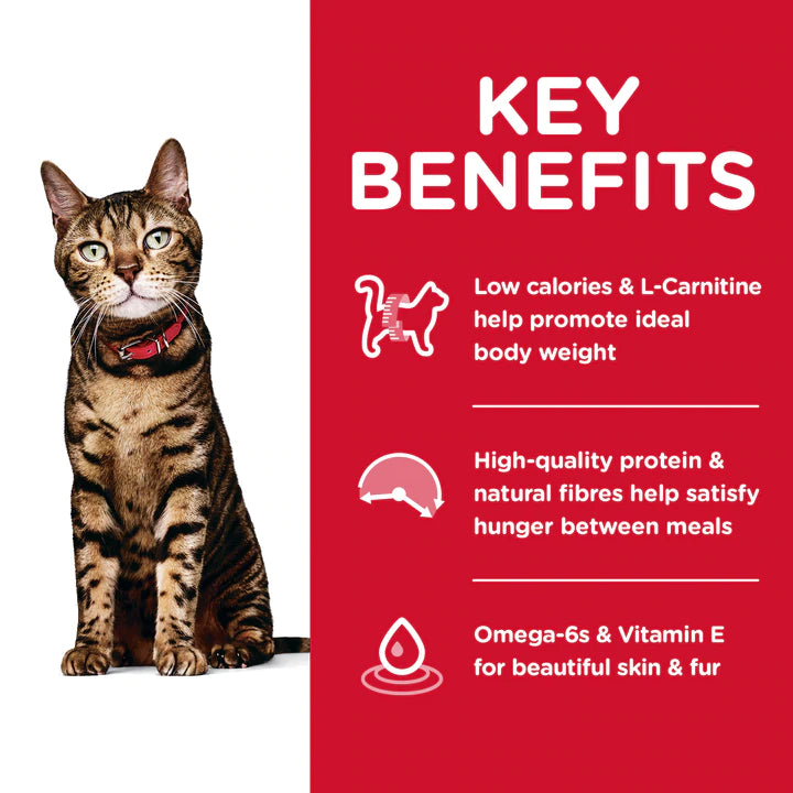 Hills Science Diet Adult Light Cat Food