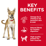 Hill's Science Diet Adult Dog Chicken & Barley Food