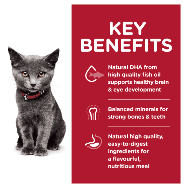 Hill's Science Diet Kitten Indoor Dry Cat Food